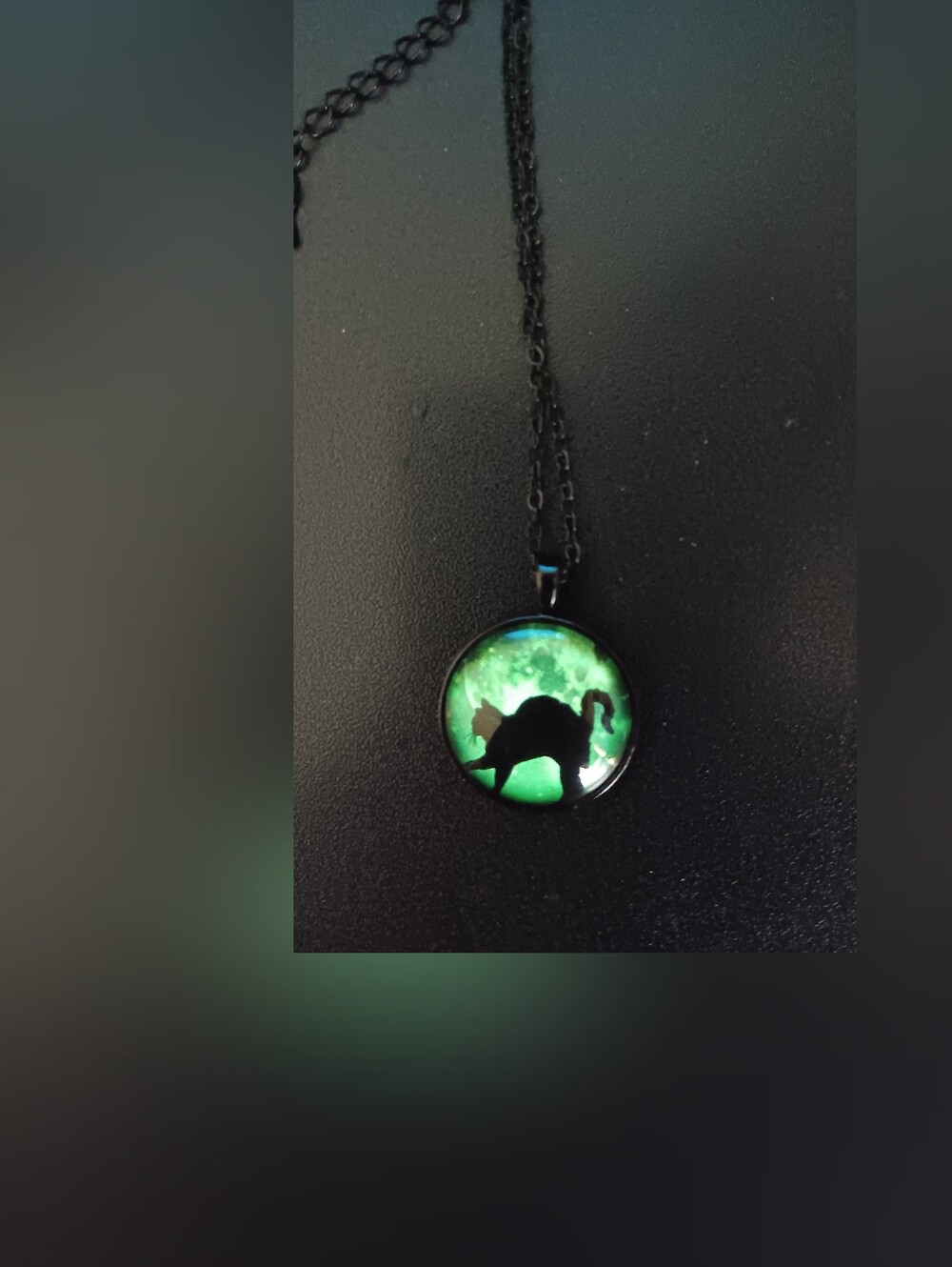 Glow Pendant Cat Necklace (NWOT)